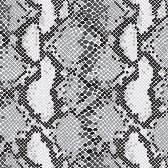 Meet your Posher, Haley - Picture 1 of 1